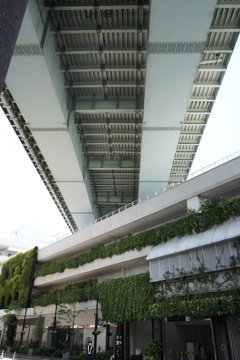 2021 4月散歩③