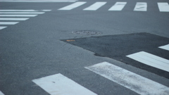 横断歩道ワールド