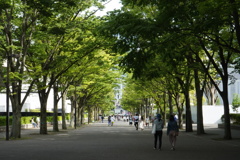 緑の洞窟