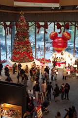 東京駅丸ビルクリスマスツリー02