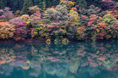 秋の彩