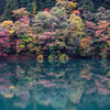 秋の彩