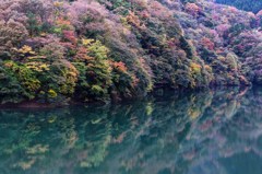 湖畔の彩