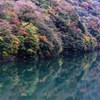 湖畔の彩