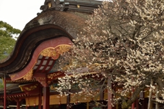 太宰府天満宮