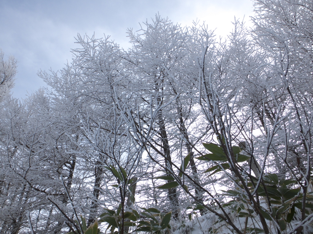 美ヶ原～雪景色01～