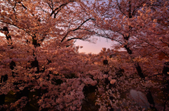 上田城址公園～夕暮れ～