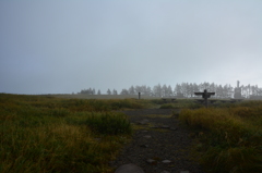 DSC_8948