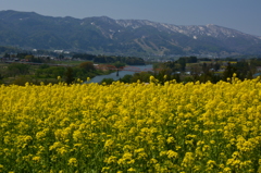 信州の春