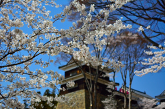 上田城址公園１