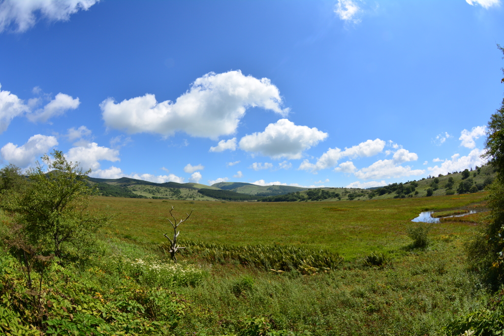 DSC_8972