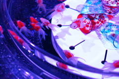 艶美な金魚鉢