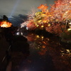 紅葉夜景