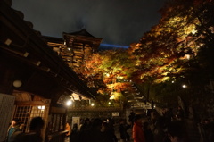 紅葉夜景