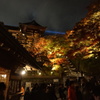 紅葉夜景