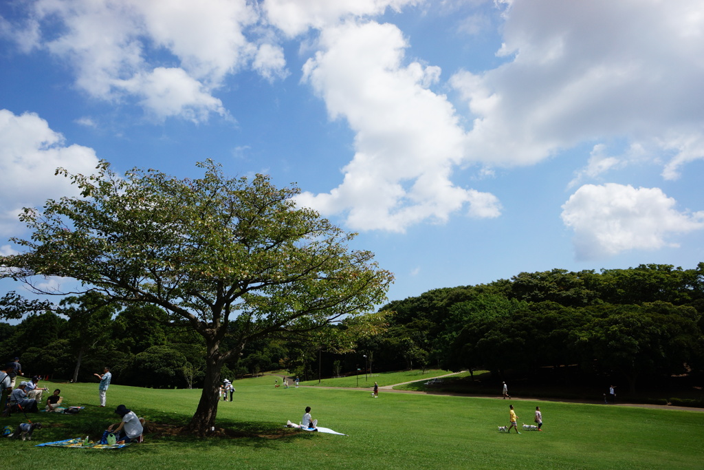 青空