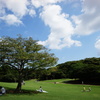 青空
