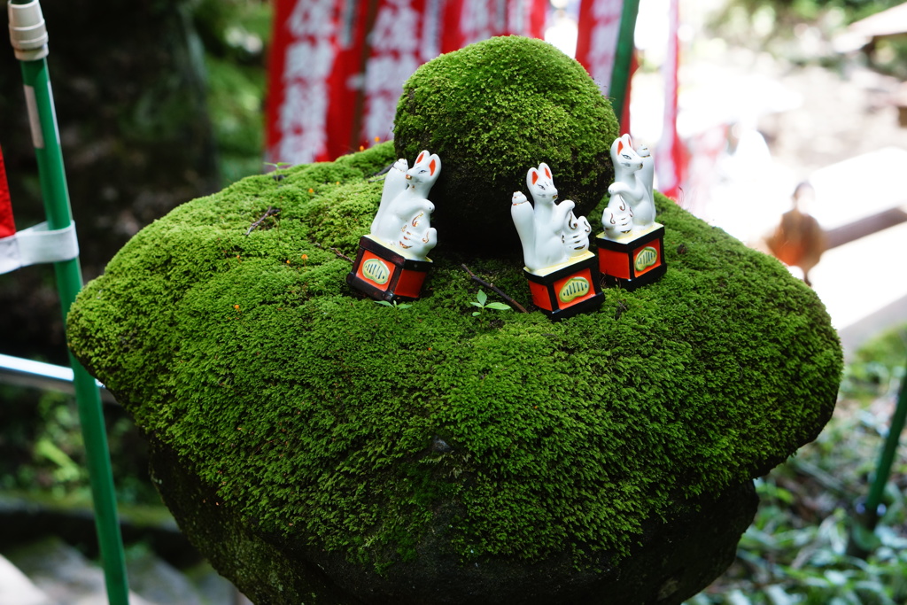 美意識