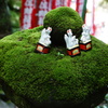 美意識