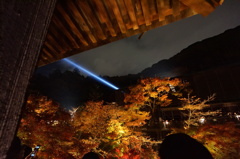 紅葉夜景