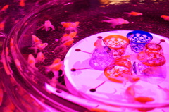艶美な金魚鉢