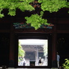 爽