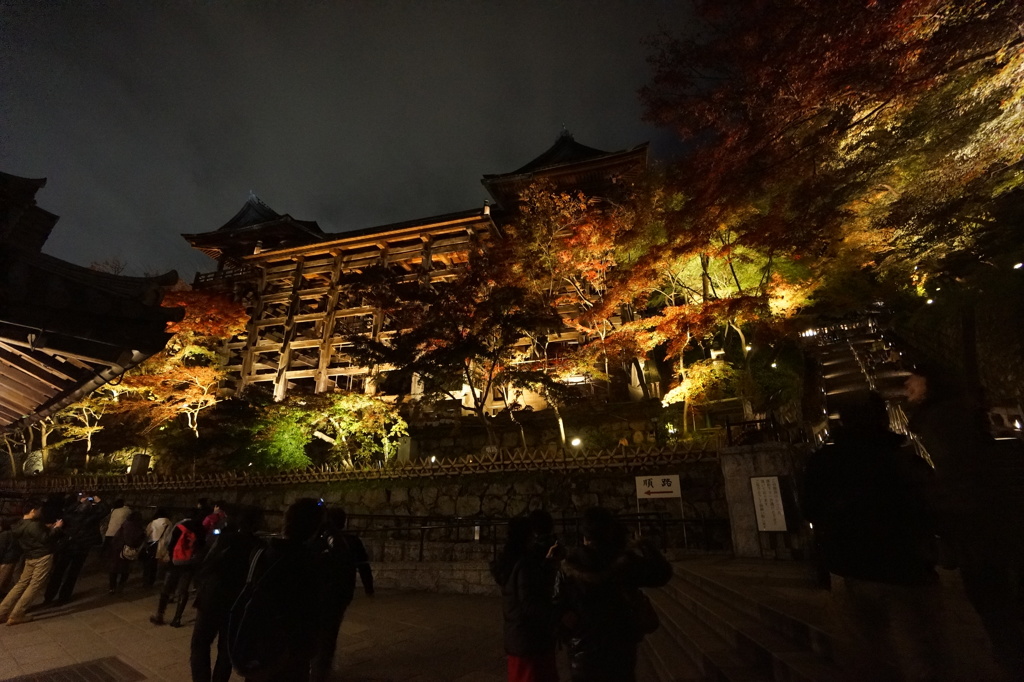 紅葉夜景