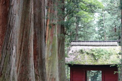 神聖