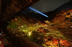 紅葉夜景
