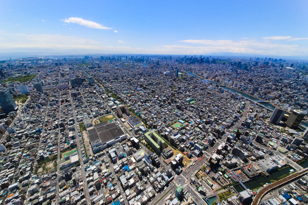 東京スカイツリー の上で