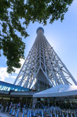 東京スカイツリー 