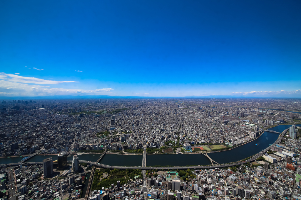 東京スカイツリー の上で