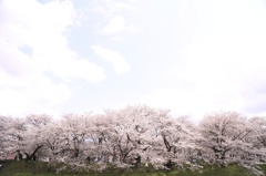 三色