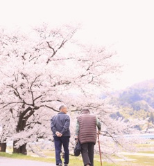 幸せ