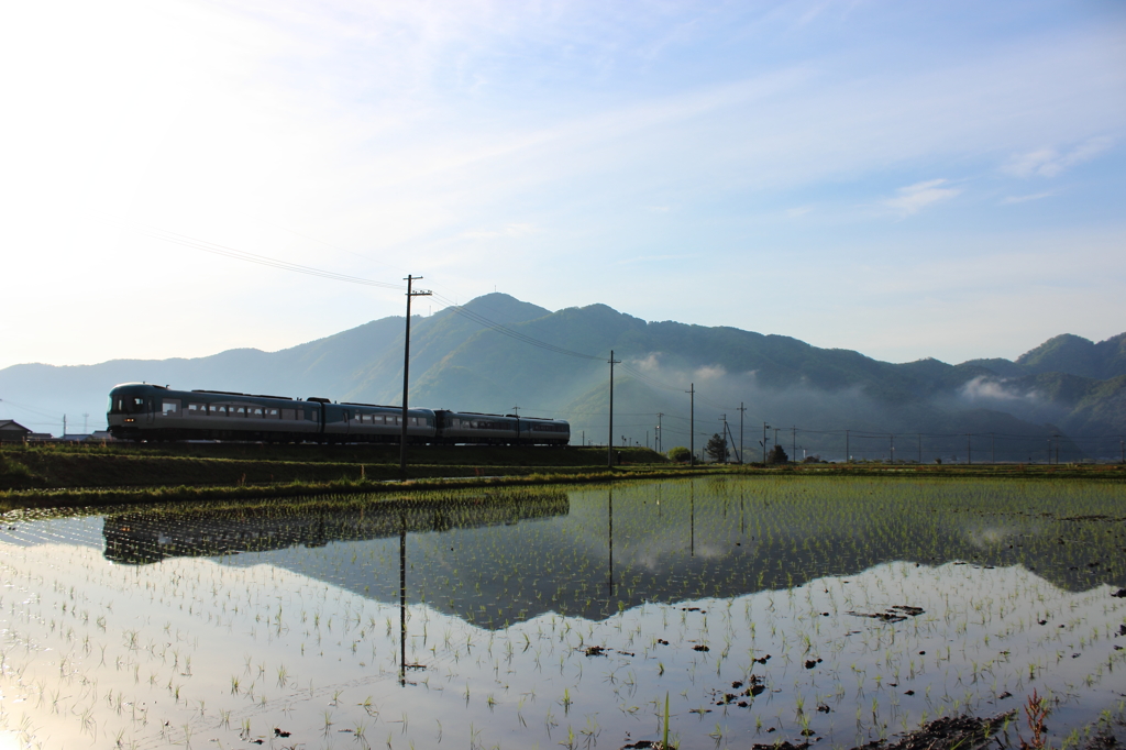 早朝の田園沿いを走る。