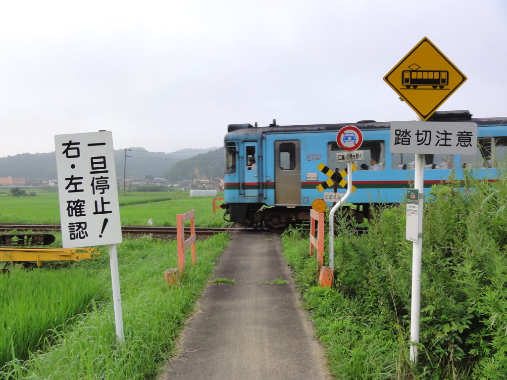 この時間に合わせて，朝の散歩