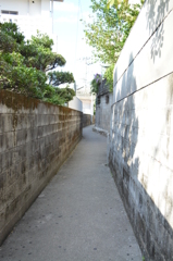 ショートカット