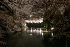 千鳥ヶ淵