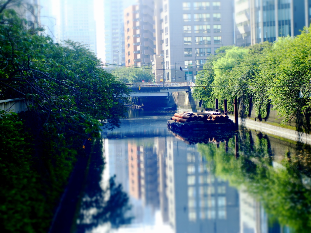朝の景色