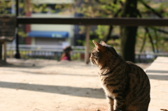 片想い