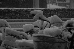 雪