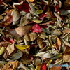 fallen leaves