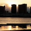 晴海夕景