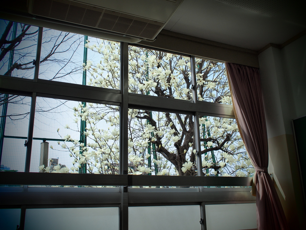教室の窓