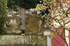 背中