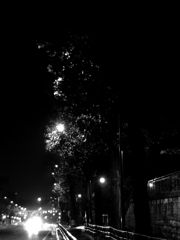 Head Light