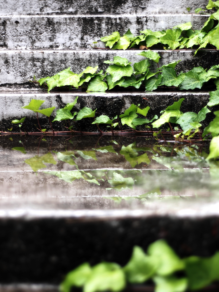 雨上がり