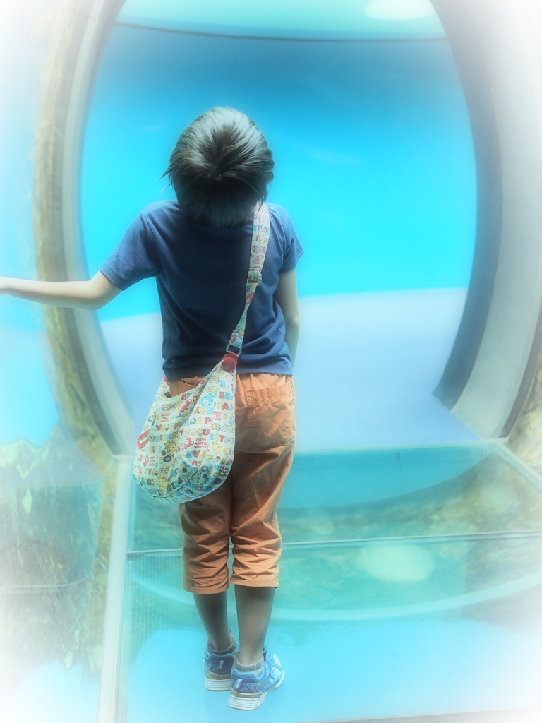 水の中