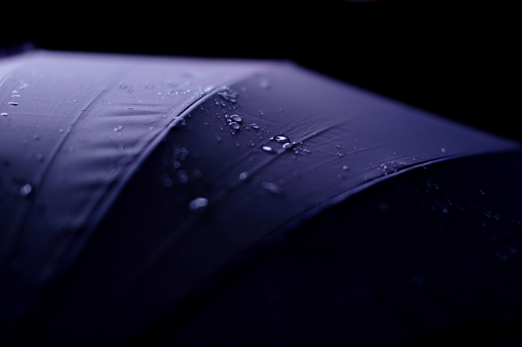 雨の日のおみやげ