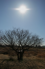 秘密基地